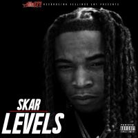 Artwork for Levels by SKAR