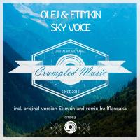 Artwork for Sky Voice by Olej