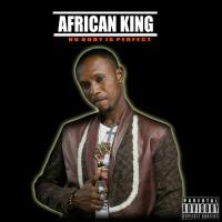 Artwork for Nobody Is Perfect  by African King