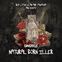 Artwork for Natural Born iller by Obnoxious