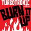 Artwork for Burn It Up (Original Mix)