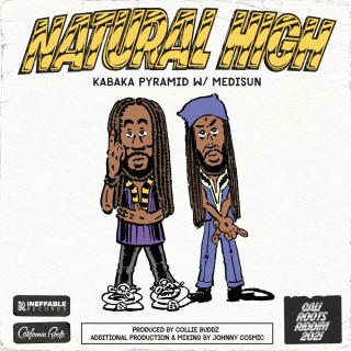 Artwork for Natural High