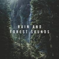 Artwork for Rain And Forest Sounds by Nature Sounds Nature Music