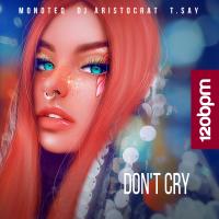 Artwork for Don't Cry by Monoteq