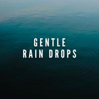 Artwork for Gentle Rain Drops by Relaxing Spa Music