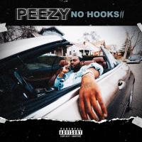 Artwork for No Hooks II by Peezy