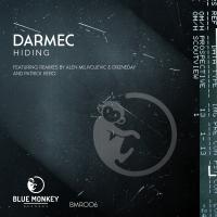 Artwork for Hiding by Darmec