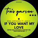 Artwork for If You Want My Love (Wayne Soul Avengerz & Odyssey Inc. Trois Garcon Mix)