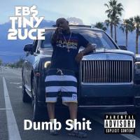 Artwork for Dumb Shit by EBS Tiny 2uce