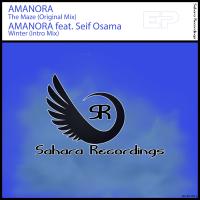 Artwork for The Maze by AMANORA