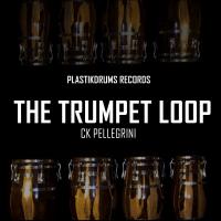 Artwork for The Trumpet Loop by Ck Pellegrini