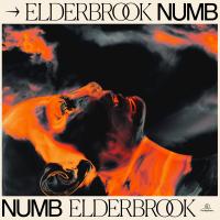 Artwork for Numb by Elderbrook