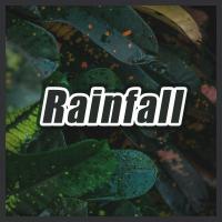 Artwork for Rainfall by Nature Sounds Nature Music