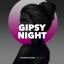 Artwork for Gipsy Night (Plastic Mix)