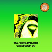 Artwork for Sugarloaf EP by Tru Roots Project