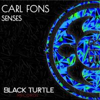 Artwork for Senses by Carl Fons