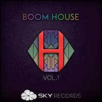 Artwork for Boom House, Vol. 1 by Various Artists