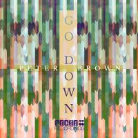 Artwork for Go Down by Peter Brown