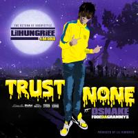 Artwork for Trust None (feat. Dsnake Fooeda Grammys) by Lil Hungriee