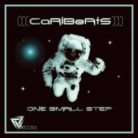 Artwork for One Small Step by Carlbeats