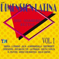 Artwork for Sus Grandes Éxitos, Vol. 1 by Dimension Latina
