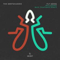 Artwork for Fly Song by The Deepshakerz