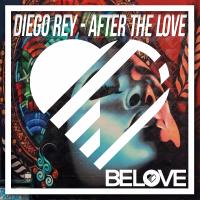 Artwork for After The Love by Diego Rey