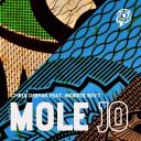 Artwork for Mole Jo (Dub Mix)