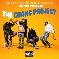 Artwork for The Chang Project by Nef The Pharaoh