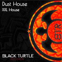 Artwork for Xxl House by Dust House