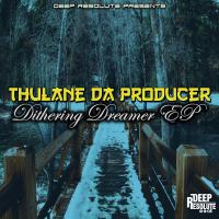 Artwork for Dithering Dreamer EP by Thulane Da Producer