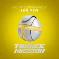 Artwork for Sentiment by Vadim Bonkrashkov