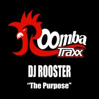 Artwork for The Purpose by DJ Rooster