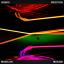 Artwork for Procyon (Original Mix)