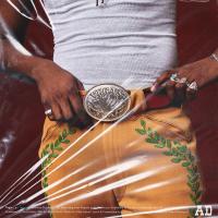 Artwork for Vegas by Shaboozey