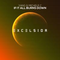 Artwork for If It All Burns Down by Yang