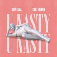 Artwork for U Nasty by Show Banga