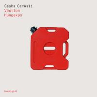 Artwork for Hungexpo/Vection by Sasha Carassi