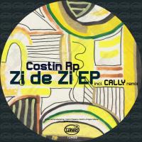 Artwork for Zi De Zi by Costin RP