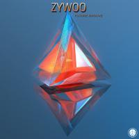 Artwork for Future Groove by Zywoo