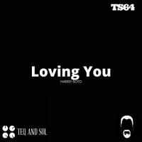 Artwork for Loving You by Harry Soto