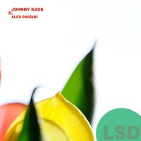 Artwork for LSD by Johnny Kaos