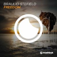 Artwork for Freedom by Braulio Stefield