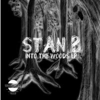 Artwork for Into The Woods by STAN B