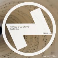 Artwork for Symphony by Narciso & Gerundino