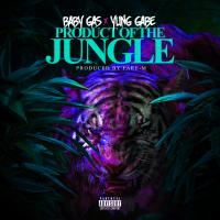 Artwork for Product Of The Jungle by Baby Gas