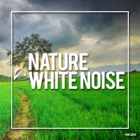 Artwork for Nature & White Noise 2019 by Rain Sounds