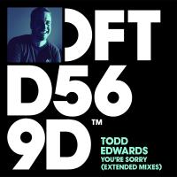 Artwork for You're Sorry (Extended Mixes) by Todd Edwards