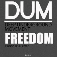 Artwork for FREEDOM by Enrico BSJ Ferrari