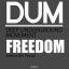 Artwork for FREEDOM (Original Mix)